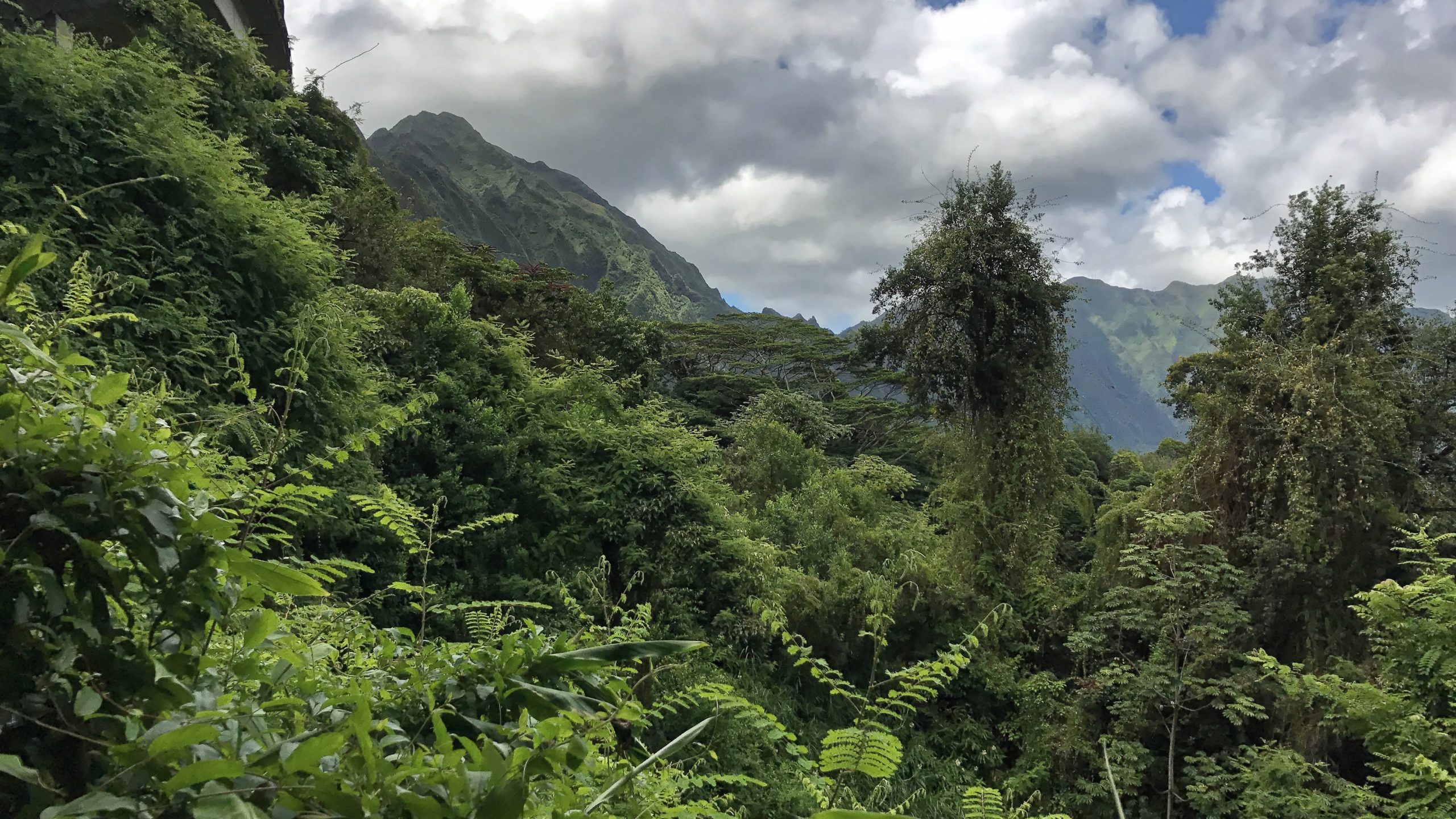 Hawaii – 2017-09-09, 12h59mn11s – iPhone7-04_DxO Hawaii - 2017-09-09, 12h59mn11s - iPhone7-04_DxO