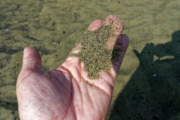 Green sand beach : le sable dans la main