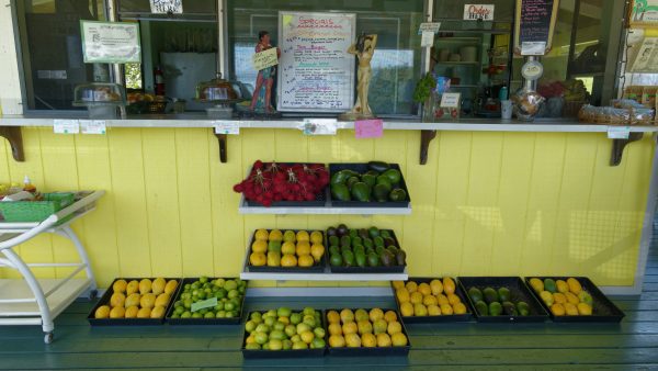 Des fruits locaux pour faire des smooties