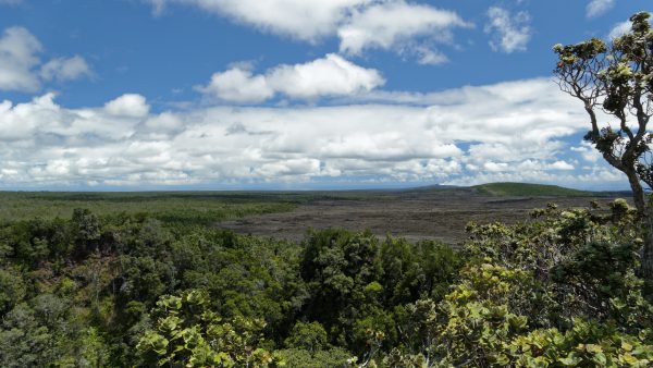 Au sud-est du Pu'U HuluHulu on aperçoit le Puʻu ʻŌʻō