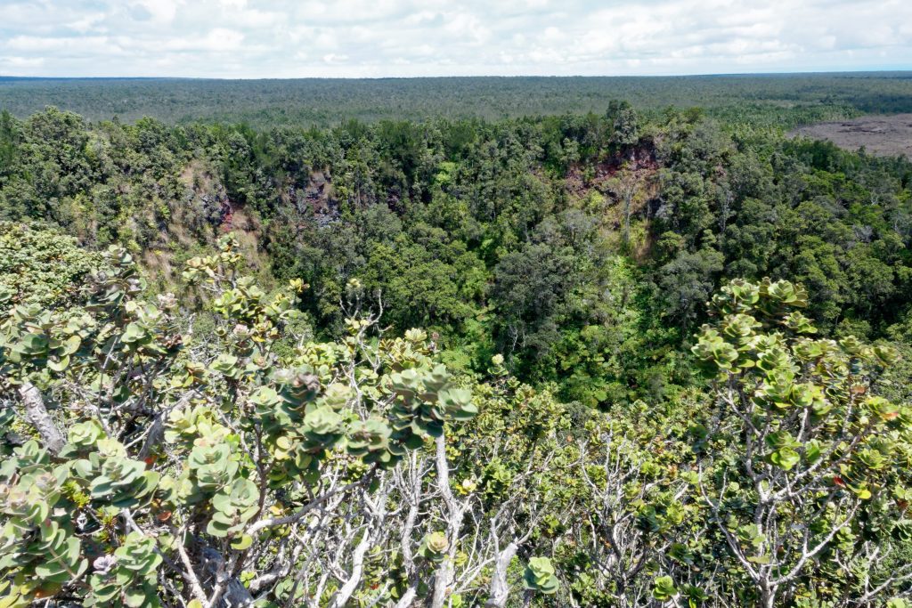 Le fond du cratère du Pu'U HuluHulu