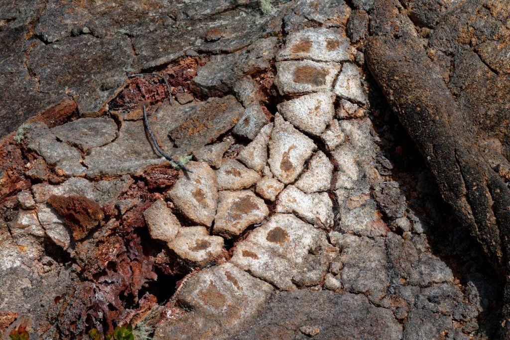 La surface craquelée des tunnels de lave