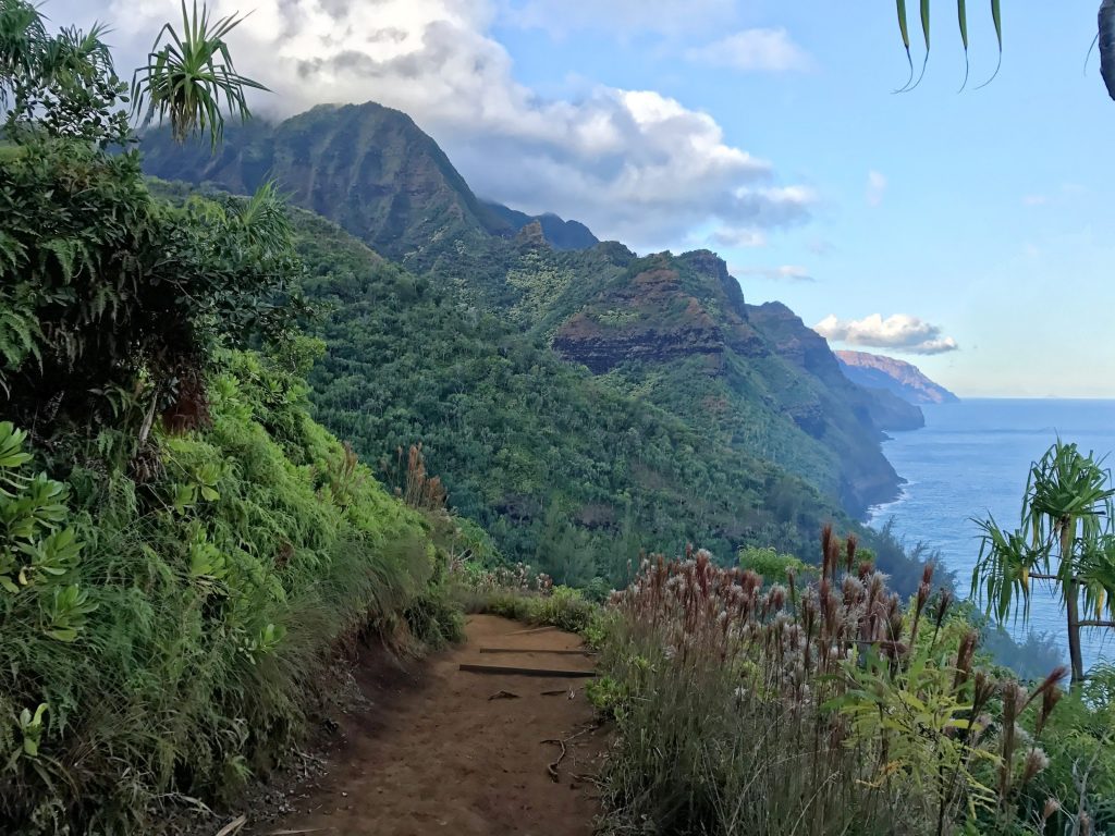Le début de la Kalalau trail conduit à la plage de Hanakapiai Le début de la Kalalau trail conduit à la plage de Hanakapiai