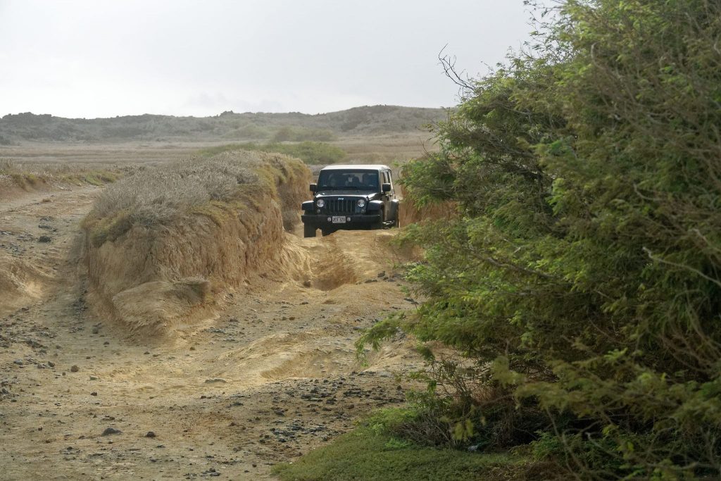 Une Jeep qui emprunte la mauvaise piste à green sand beach