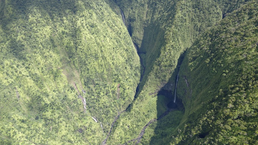 Quelques cascades au fond d'une gorge à Kauai