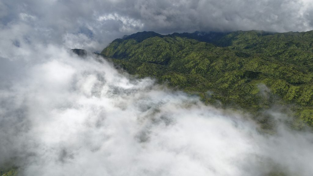 Les forêts des cîmes de Kauai, dans les nuages