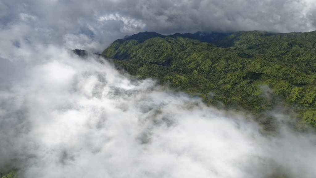 Les forêts des cîmes de Kauai, dans les nuages Les forêts des cîmes de Kauai, dans les nuages
