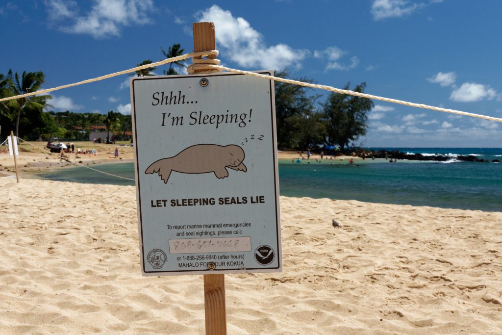 Un panneau invitant à respecter le sommeil des phoques