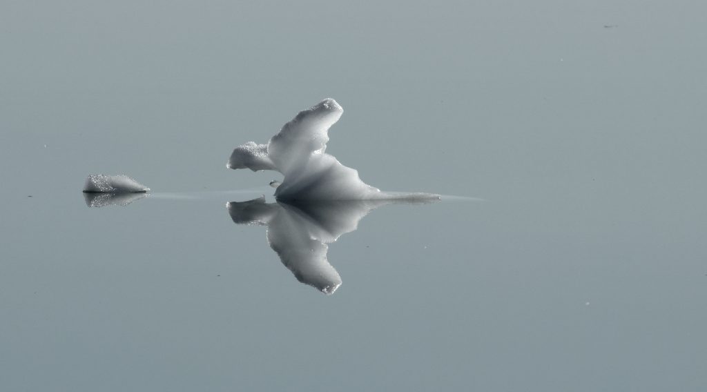 Reflets Reflets