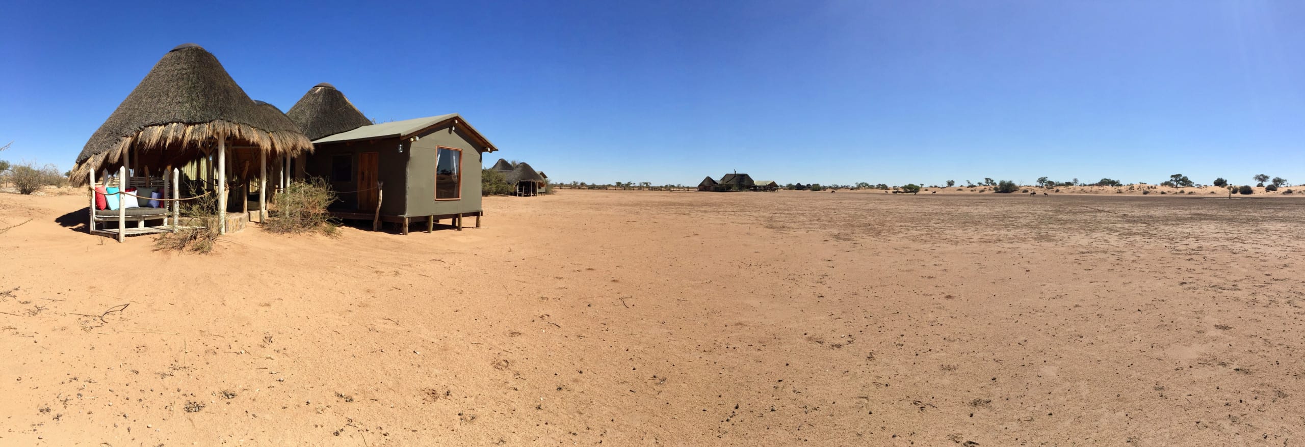Vue extérieure des chambres du Kalahari Red Dunes Lodge Nos chambres : des sortes de huttes aux toits de chaume et aux douches extérieures...