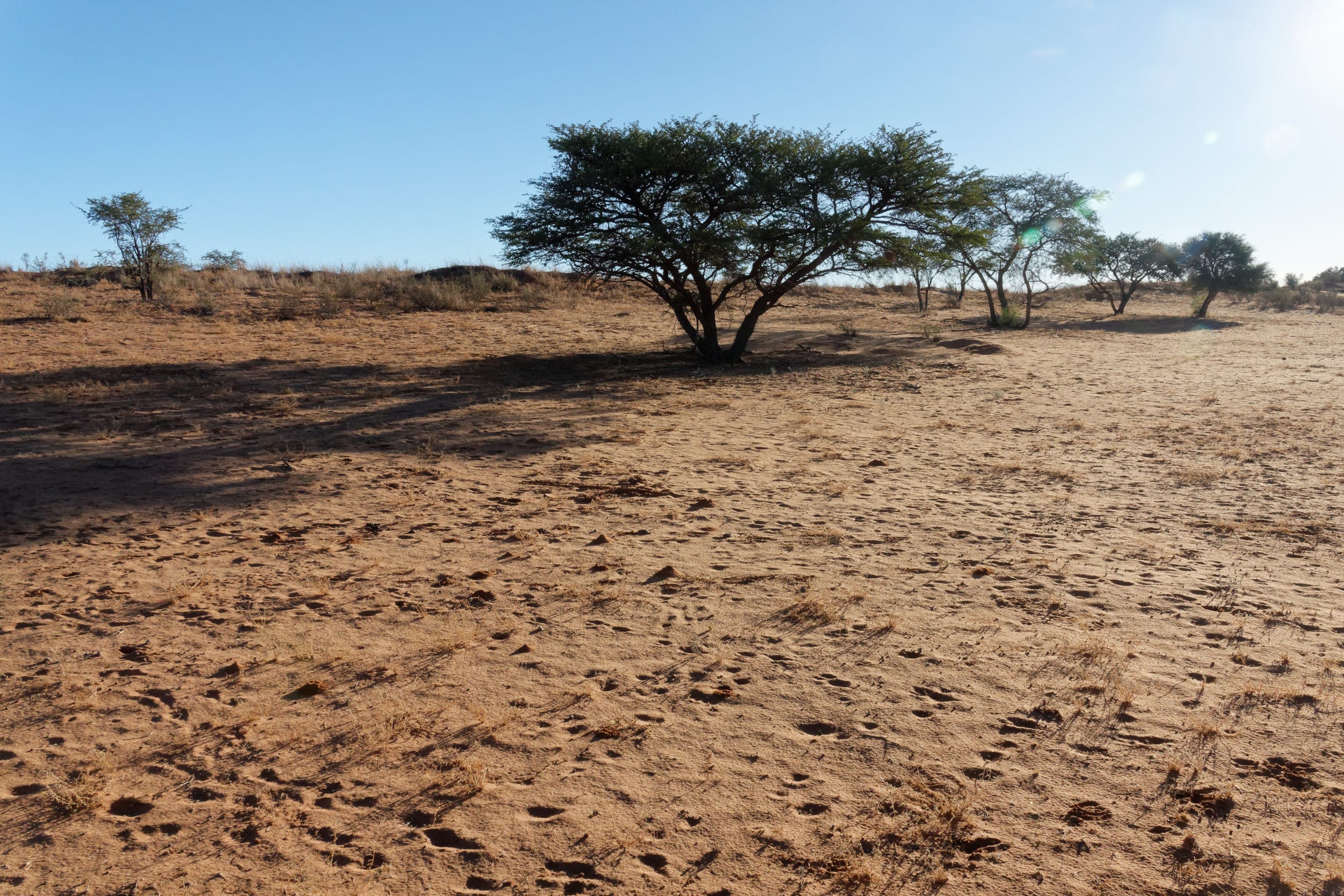 Namibie-2019-04-23, 17h27mn12s – S_2335_WP Namibie-2019-04-23, 17h27mn12s - S_2335_WP
